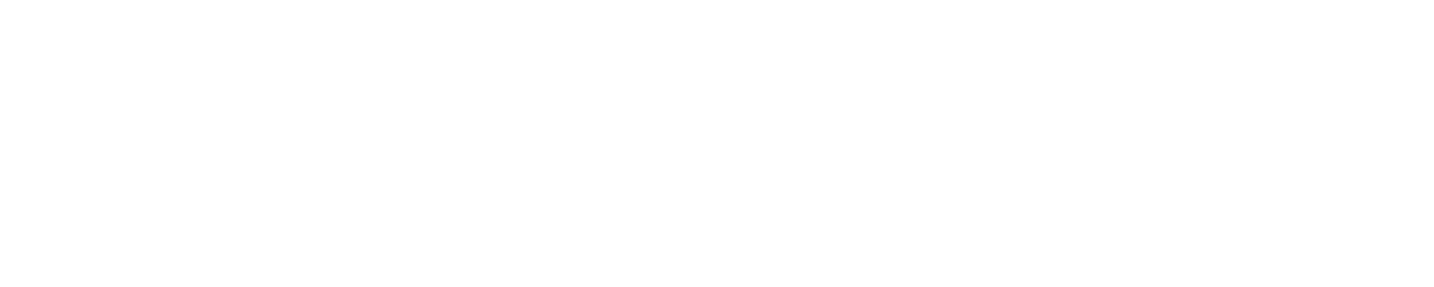NextLevel Advisory